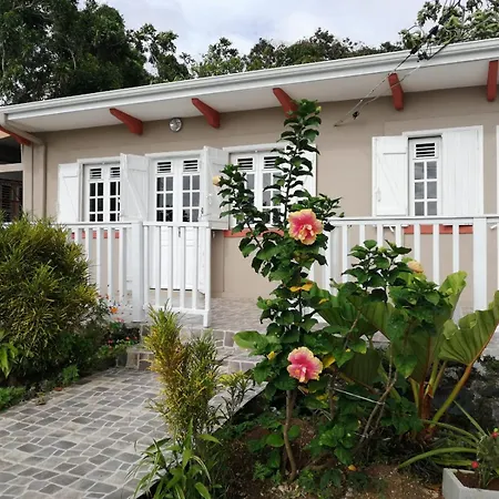 Traumurlaub Im Schwarzwald Dornstetten Exterior photo